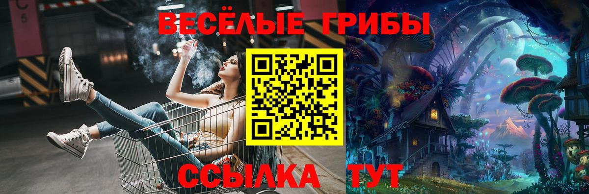 купить наркотики сайты  Галлюциногенные грибы Psilocybe  Вход с VPN  Луга 