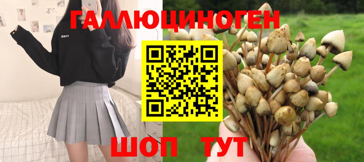 Галлюциногенные грибы MAGIC MUSHROOMS Луга